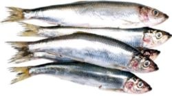 Иллюстрация к книге — 365 рецептов вкусной русской кухни [i_021.jpg]