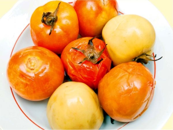 Иллюстрация к книге — 365 рецептов вкусной русской кухни [i_068.jpg]