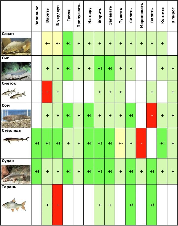 Иллюстрация к книге — Готовим рыбу [i_006.jpg]