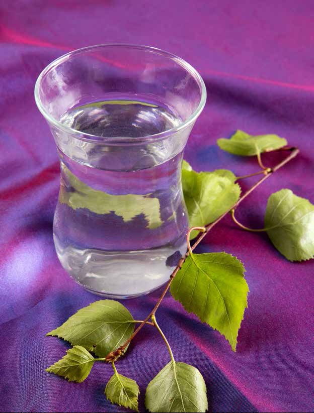 Иллюстрация к книге — Кулинарная энциклопедия. Том 2. Б (Баба – Бефстроганов) [_121.jpg]