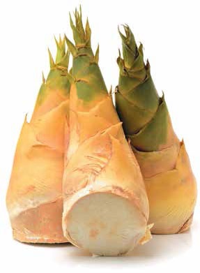 Иллюстрация к книге — Кулинарная энциклопедия. Том 2. Б (Баба – Бефстроганов) [_42.jpg]