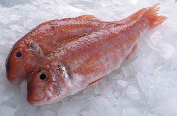 Иллюстрация к книге — Кулинарная энциклопедия. Том 2. Б (Баба – Бефстроганов) [_58.jpg]