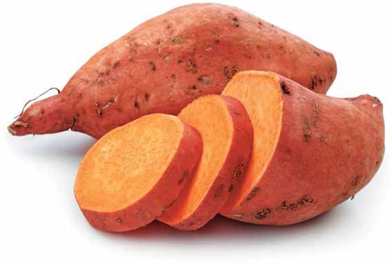 Иллюстрация к книге — Кулинарная энциклопедия. Том 2. Б (Баба – Бефстроганов) [_83.jpg]