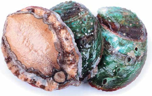 Иллюстрация к книге — Кулинарная энциклопедия. Том 1. А (А ля карт – Аэрофритюрница) [_2.jpg]