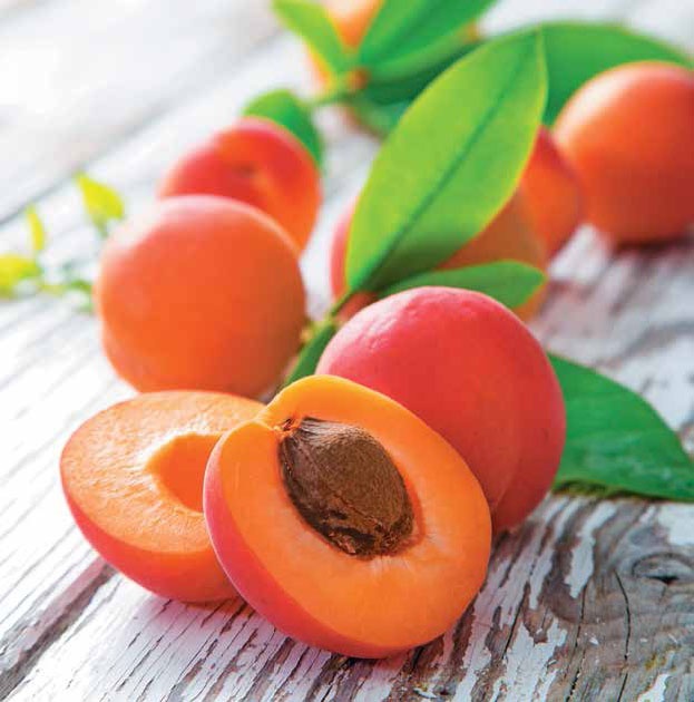 Иллюстрация к книге — Кулинарная энциклопедия. Том 1. А (А ля карт – Аэрофритюрница) [_4.jpg]