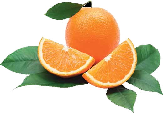 Иллюстрация к книге — Кулинарная энциклопедия. Том 1. А (А ля карт – Аэрофритюрница) [_82.jpg]