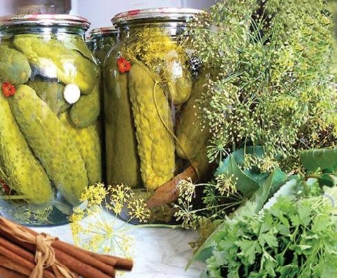 Иллюстрация к книге — Все о хранении и заготовлении овощей и фруктов [autogen_ebook_id46.jpg]