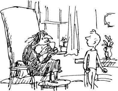 Иллюстрация к книге — Волшебное лекарство Джорджа [i_004.jpg]