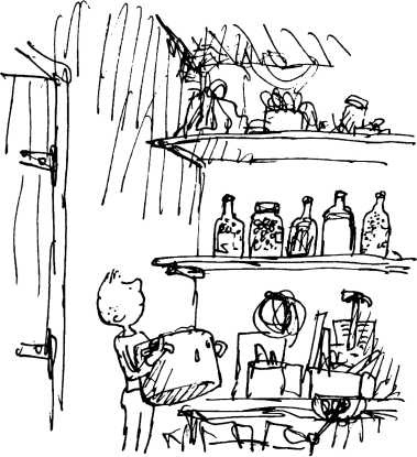 Иллюстрация к книге — Волшебное лекарство Джорджа [i_018.jpg]