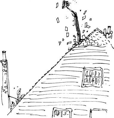 Иллюстрация к книге — Волшебное лекарство Джорджа [i_031.jpg]