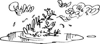 Иллюстрация к книге — Волшебное лекарство Джорджа [i_035.jpg]