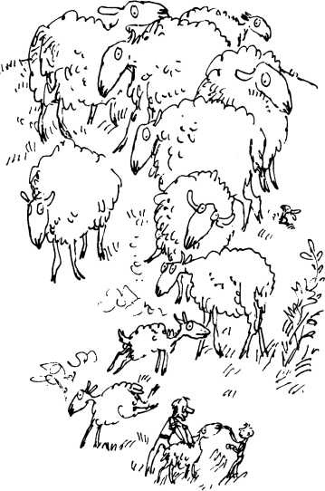 Иллюстрация к книге — Волшебное лекарство Джорджа [i_044.jpg]