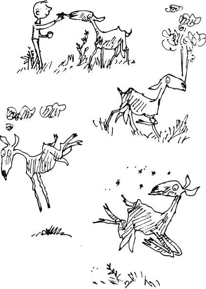 Иллюстрация к книге — Волшебное лекарство Джорджа [i_046.jpg]