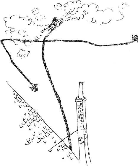 Иллюстрация к книге — Волшебное лекарство Джорджа [i_065.jpg]