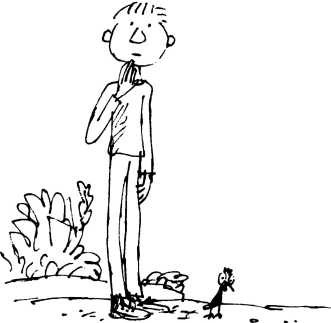 Иллюстрация к книге — Волшебное лекарство Джорджа [i_078.jpg]