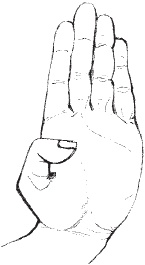 Иллюстрация к книге — Оздоровительные упражнения Древнего Китая [i_028.jpg]