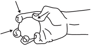 Иллюстрация к книге — Оздоровительные упражнения Древнего Китая [i_197.jpg]