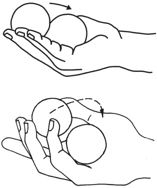 Иллюстрация к книге — Оздоровительные упражнения Древнего Китая [i_202.jpg]