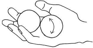 Иллюстрация к книге — Оздоровительные упражнения Древнего Китая [i_204.jpg]