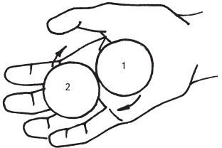 Иллюстрация к книге — Оздоровительные упражнения Древнего Китая [i_205.jpg]