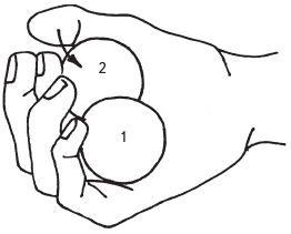 Иллюстрация к книге — Оздоровительные упражнения Древнего Китая [i_207.jpg]