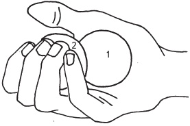 Иллюстрация к книге — Оздоровительные упражнения Древнего Китая [i_209.jpg]