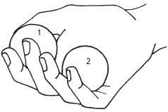 Иллюстрация к книге — Оздоровительные упражнения Древнего Китая [i_210.jpg]