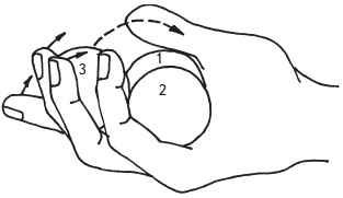 Иллюстрация к книге — Оздоровительные упражнения Древнего Китая [i_212.jpg]