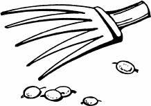 Иллюстрация к книге — Сезон урожая. Собираем и храним. [_04.jpg]