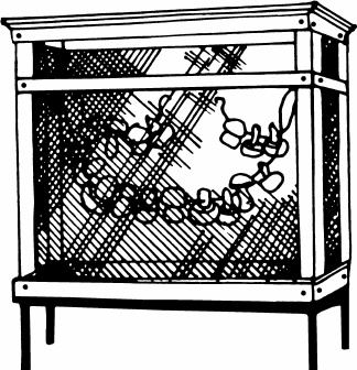 Иллюстрация к книге — Сезон урожая. Собираем и храним. [_15.jpg]