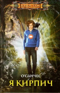 Книга Я Кирпич