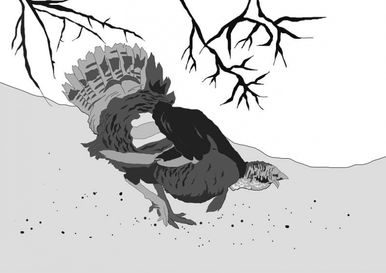 Иллюстрация к книге — Дальше жить [i_012.jpg]