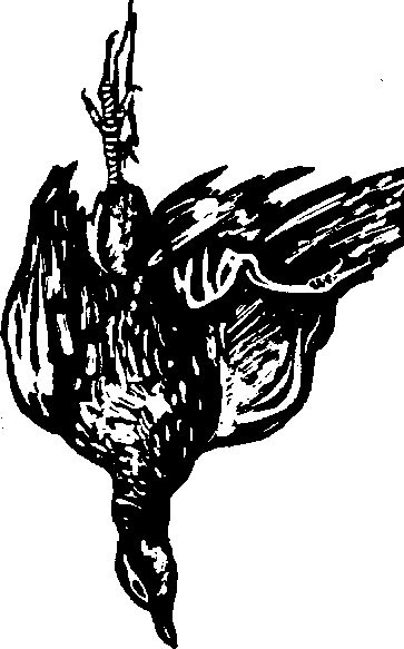 Иллюстрация к книге — Жратва [i_029.jpg]