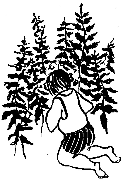 Иллюстрация к книге — Жратва [i_030.jpg]