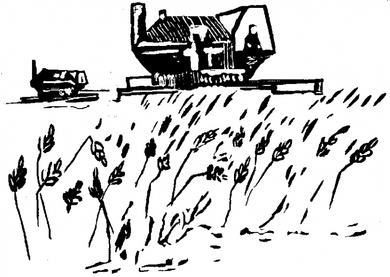 Иллюстрация к книге — Жратва [i_042.jpg]