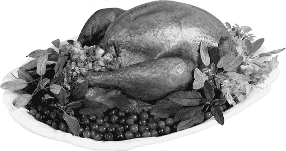 Иллюстрация к книге — Готовим по рецептам Е. Молоховец [autogen_ebook_id2.jpg]