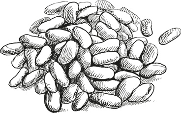 Иллюстрация к книге — Кухня наших родителей. Рецепты из Бердичева [i_002.jpg]