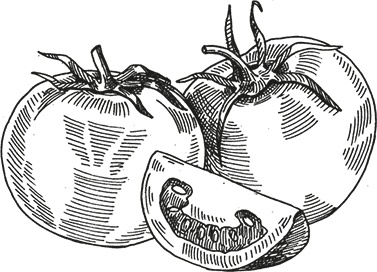 Иллюстрация к книге — Кухня наших родителей. Рецепты из Бердичева [i_003.jpg]