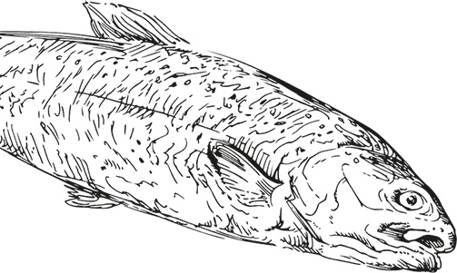 Иллюстрация к книге — Кухня наших родителей. Рецепты из Бердичева [i_004.jpg]