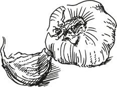 Иллюстрация к книге — Кухня наших родителей. Рецепты из Бердичева [i_005.jpg]