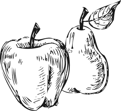 Иллюстрация к книге — Кухня наших родителей. Рецепты из Бердичева [i_006.jpg]