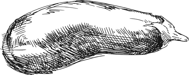 Иллюстрация к книге — Кухня наших родителей. Рецепты из Бердичева [i_007.jpg]