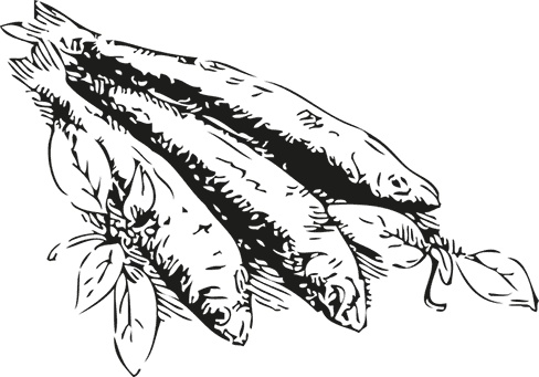 Иллюстрация к книге — Кухня наших родителей. Рецепты из Бердичева [i_009.jpg]