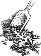 Иллюстрация к книге — Вино, настойки, ликеры [i_039.jpg]