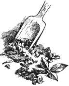 Иллюстрация к книге — Вино, настойки, ликеры [i_064.jpg]