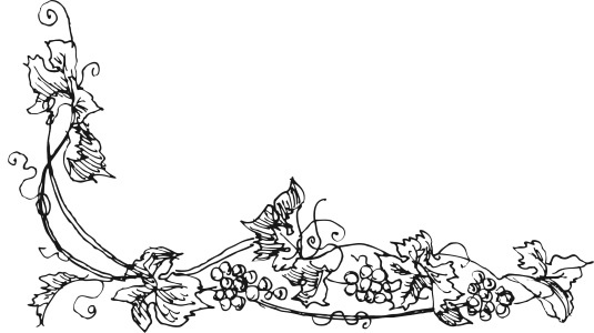 Иллюстрация к книге — Вино, настойки, ликеры [i_245.jpg]