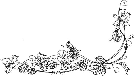 Иллюстрация к книге — Вино, настойки, ликеры [i_261.jpg]