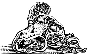 Иллюстрация к книге — Сам себе шеф-повар. Как научиться готовить без рецептов [i_007.jpg]