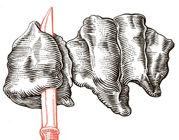 Иллюстрация к книге — Сам себе шеф-повар. Как научиться готовить без рецептов [i_031.jpg]