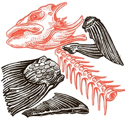 Иллюстрация к книге — Сам себе шеф-повар. Как научиться готовить без рецептов [i_043.jpg]